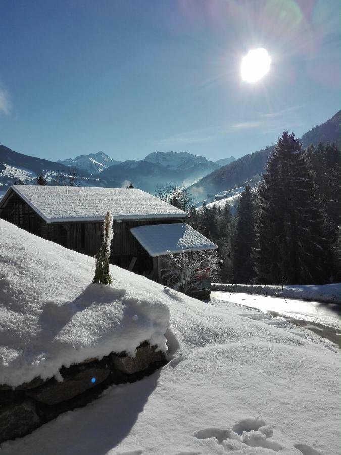Apart Gerlossteinblick Aschau Im Zillertal Exterior foto